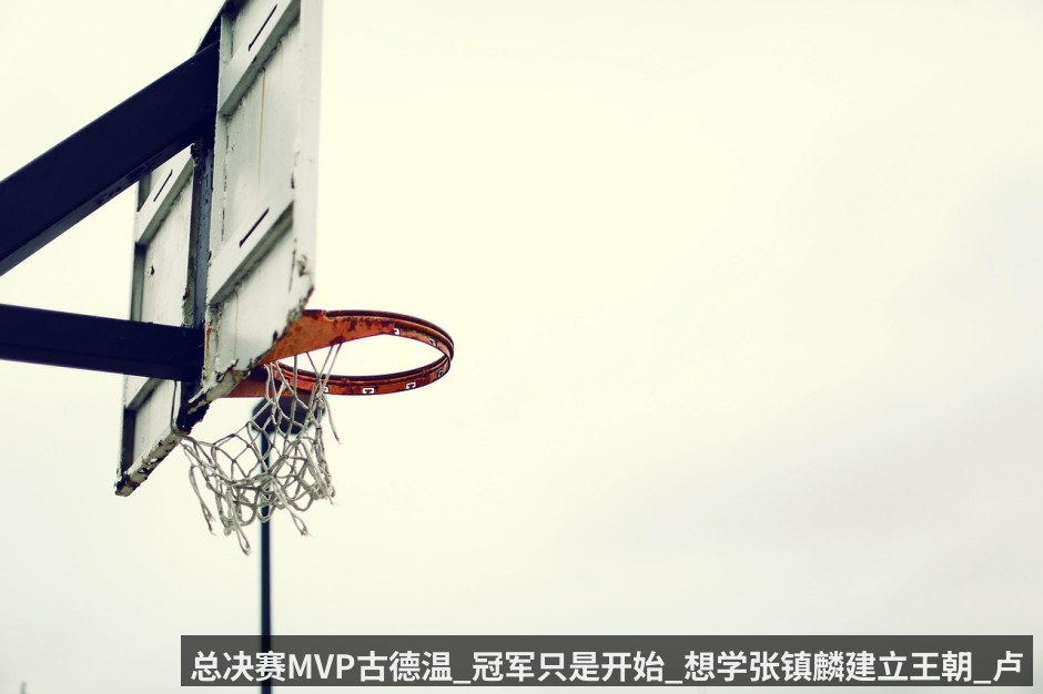 总决赛MVP古德温_冠军只是开始_想学张镇麟建立王朝_卢伟透露比赛用球全队签名留念_王哲林甘当绿叶狂砍29_14